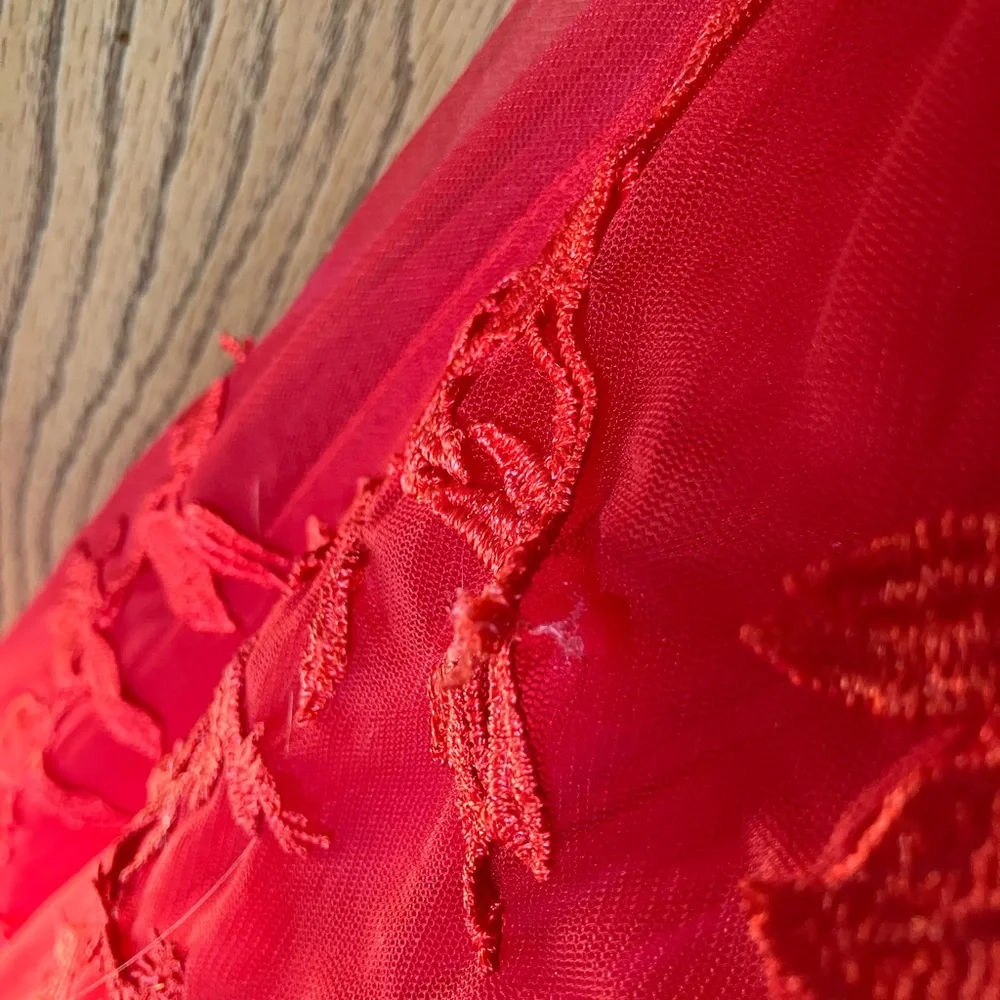 Elegant Red Lace A-Line Corset Back Adjustable Small Floor Length Prom Gown - Picture 8 of 9